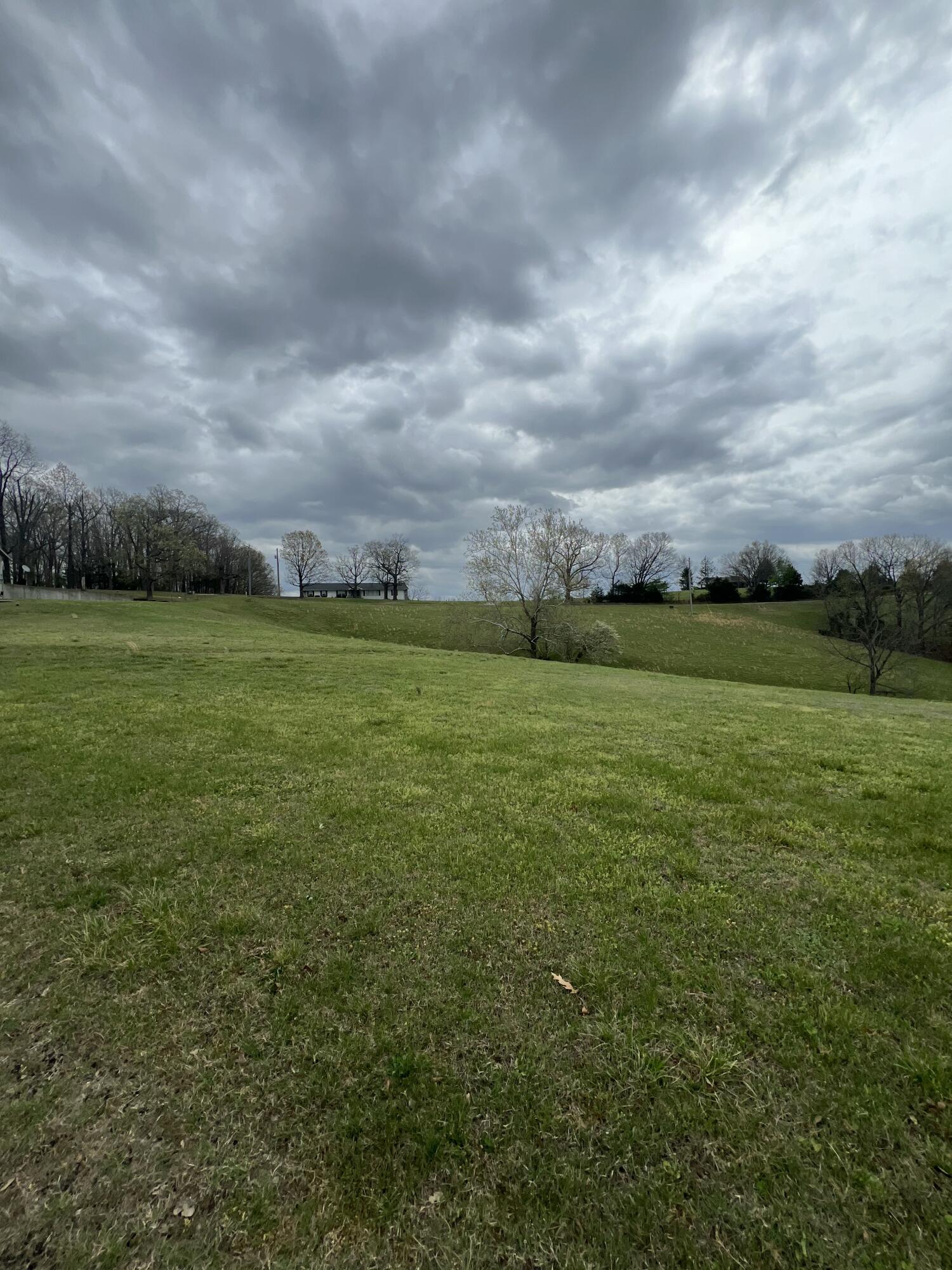 0 Th Reeds Spring Reeds Spring, MO 65737 - Photo 2 of 6 IMG_1609