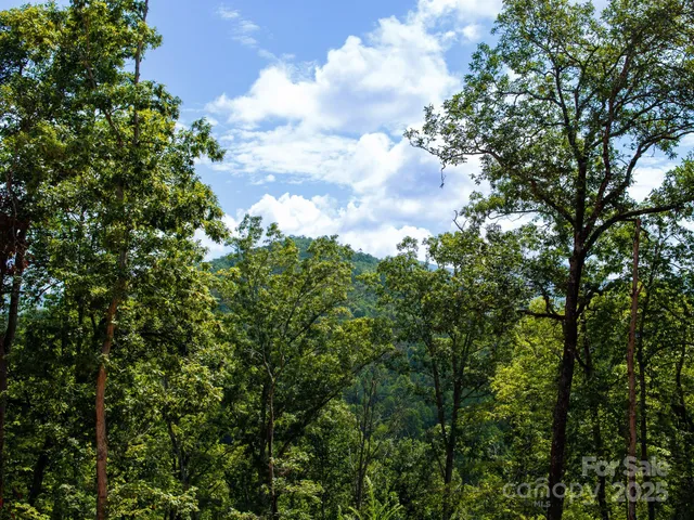 an aerial view of houses covered in trees