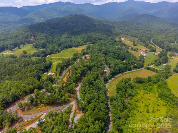 a view of a lush green hillside and a houses