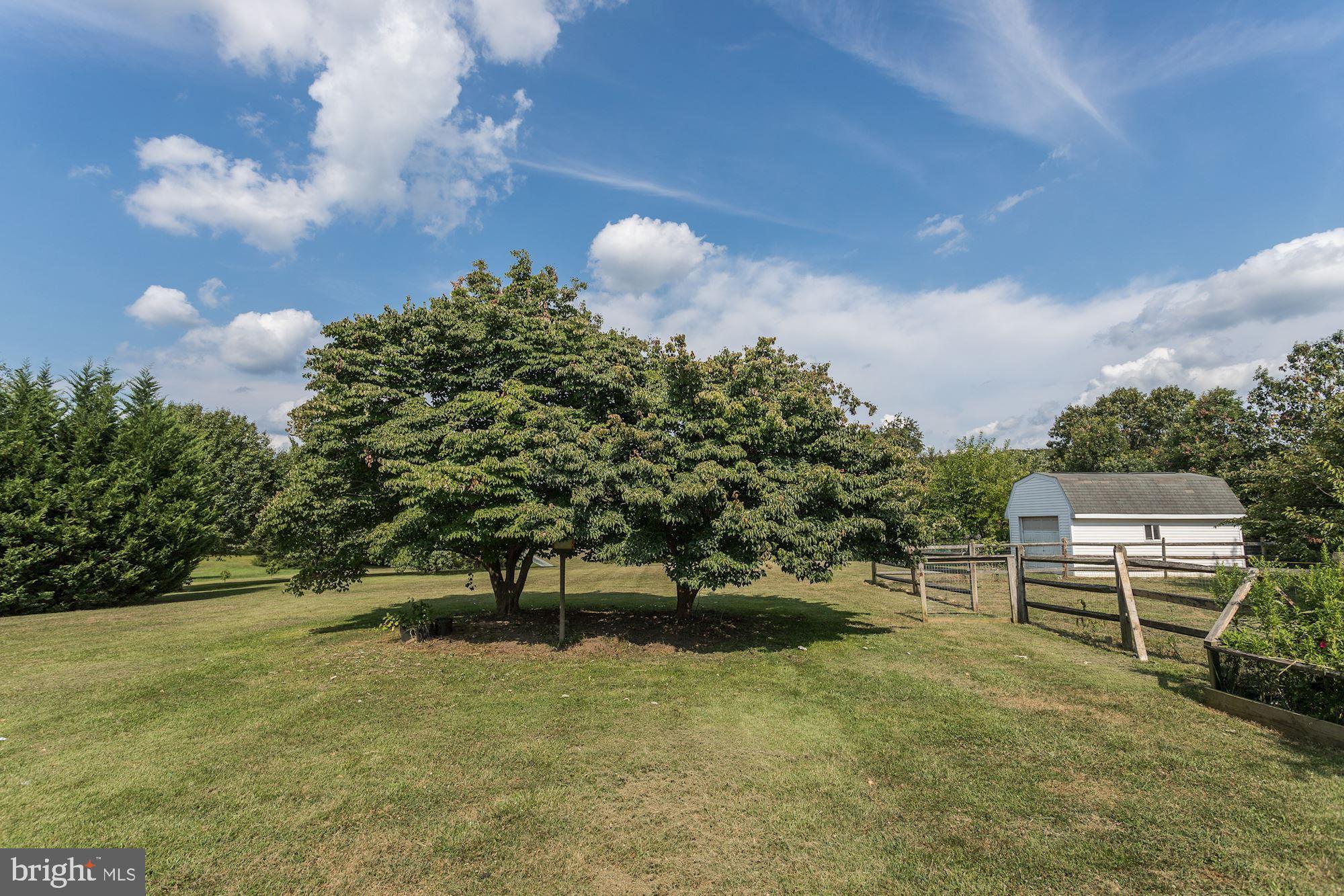 3349 Ady Road Street, MD 21154 - Photo 41 of 42 Rear Yard