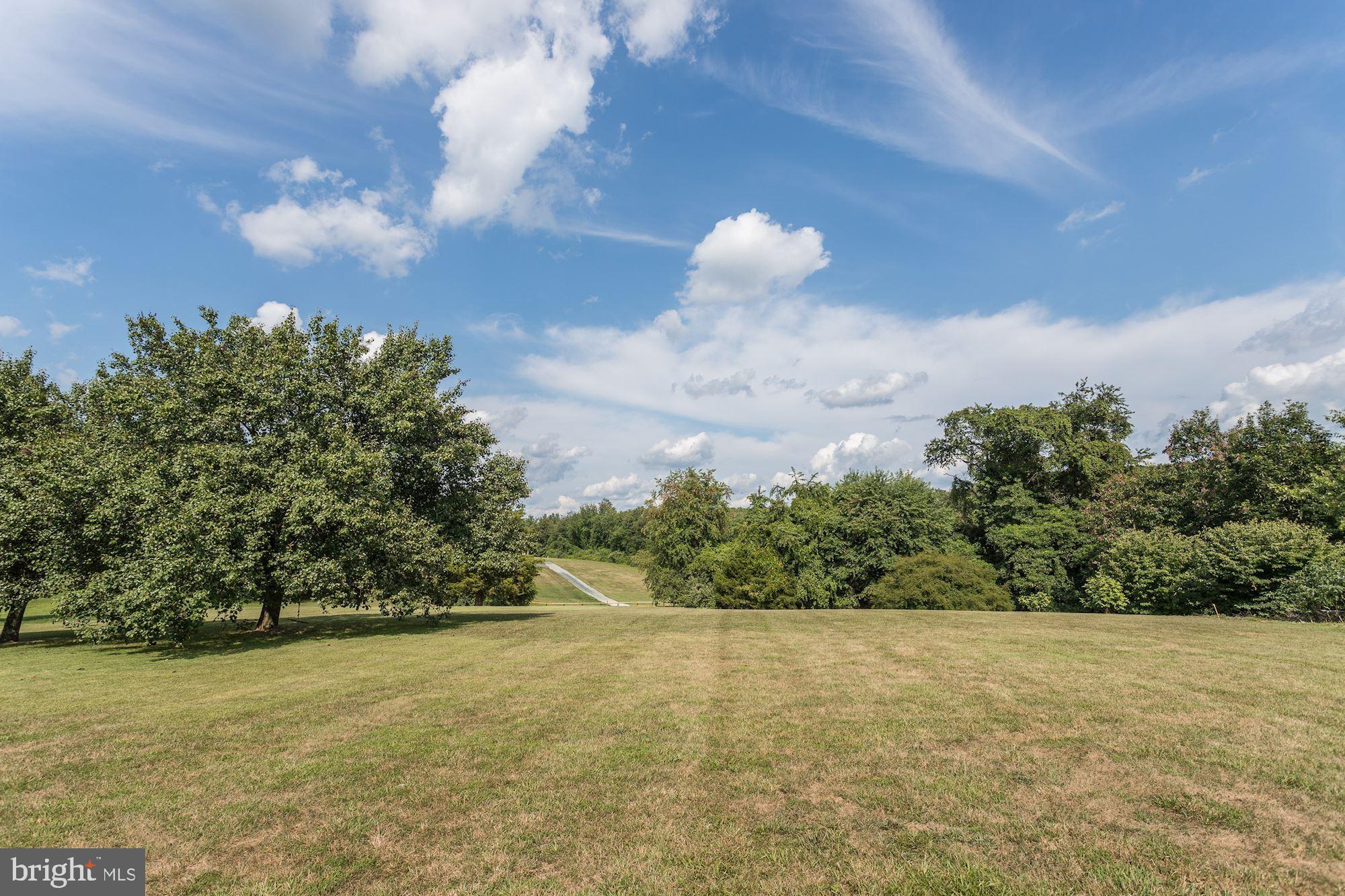 3349 Ady Road Street, MD 21154 - Photo 42 of 42 Rear Yard