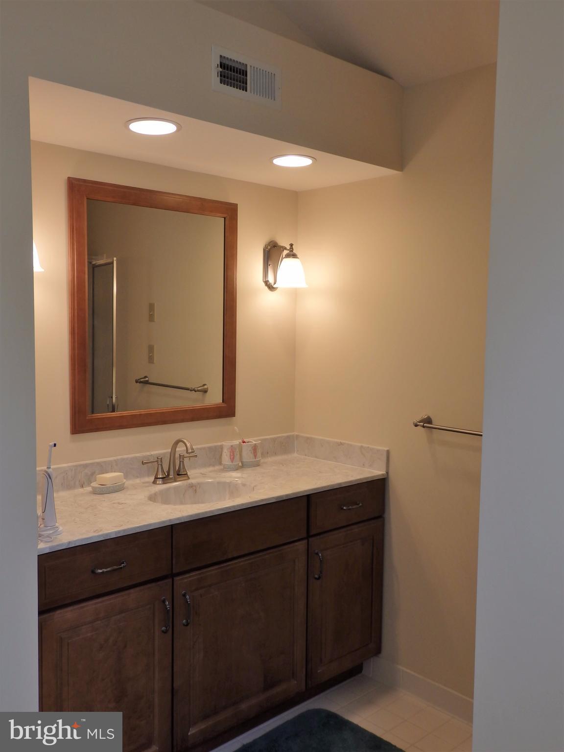 2415 Bear Den Road Frederick, MD 21701 - Photo 14 of 29 a bathroom with a sink and a mirror