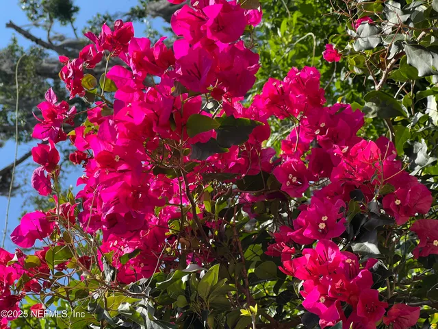 $475,000 | 2199 Astor Street, Unit 104, Orange Park, FL 32073