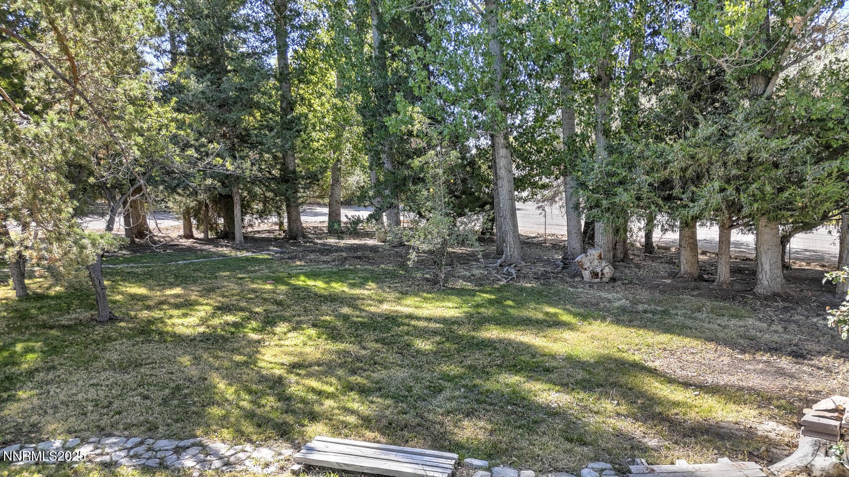1480 River View Drive Fallon, NV 89406 - Photo 27 of 32 a view of a yard with a tree