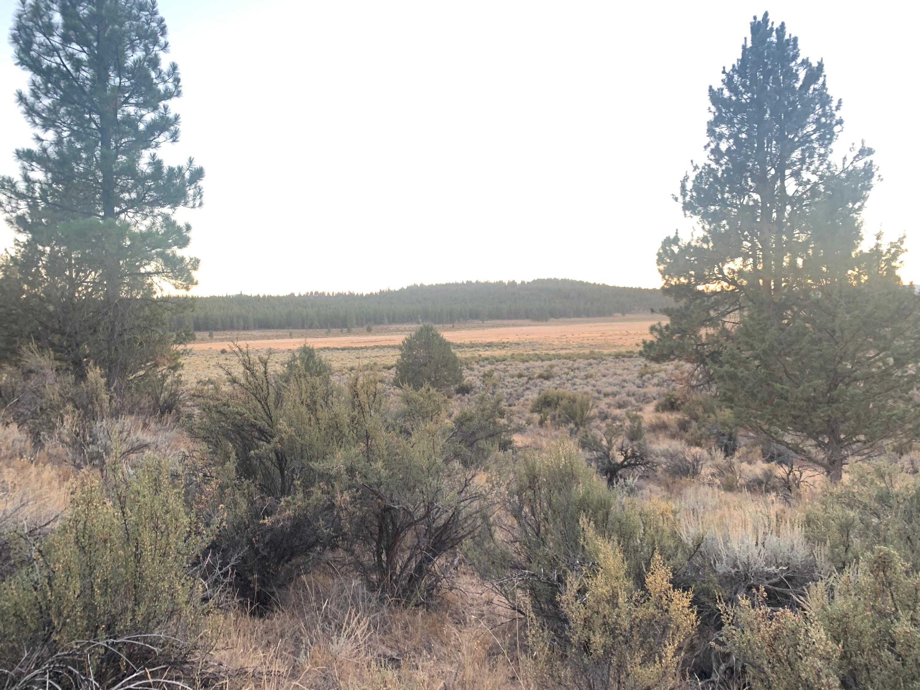 800 Godowa Springs Road Beatty, OR 97621 - Photo 1 of 11 IMG-5216