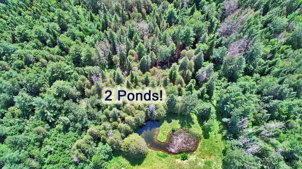 3340 Military Road Haynesville, ME 04497 - Photo 33 of 45 ponds-maine-land-haynesvill