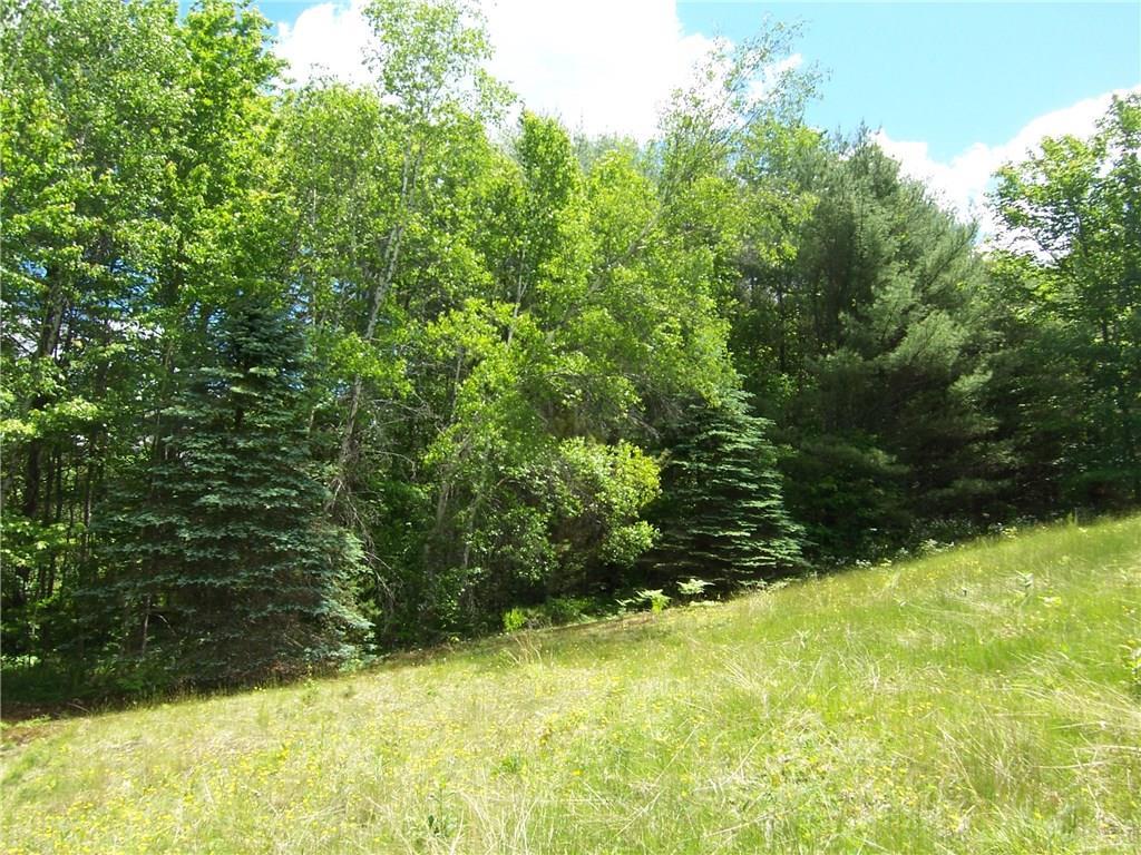 28 Walker Hill Road Wilton, ME 04294 - Photo 17 of 34 Blue Spruce