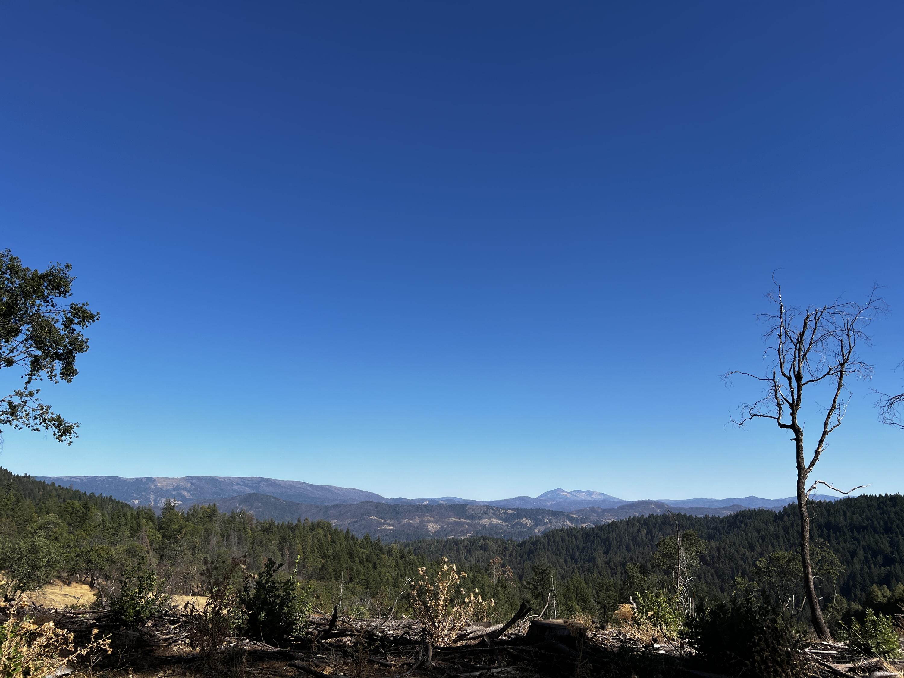 80-acre Bluff Creek Road Zenia, CA 95595 - Photo 6 of 27