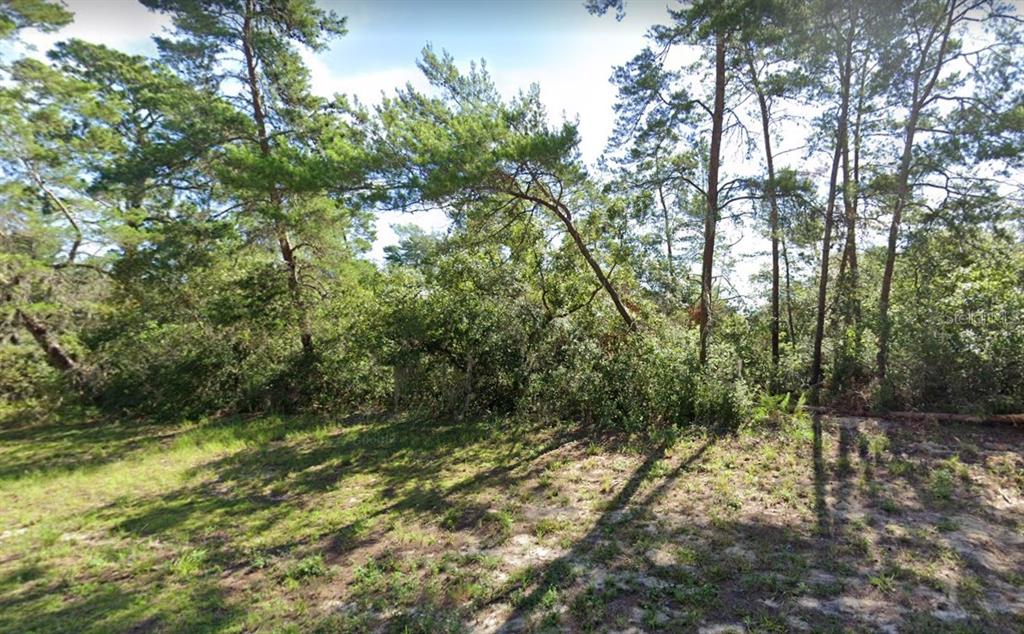 14 Southwest 50th Street Road Ocala, FL 34481 - Photo 1 of 1 Gallery Image 1