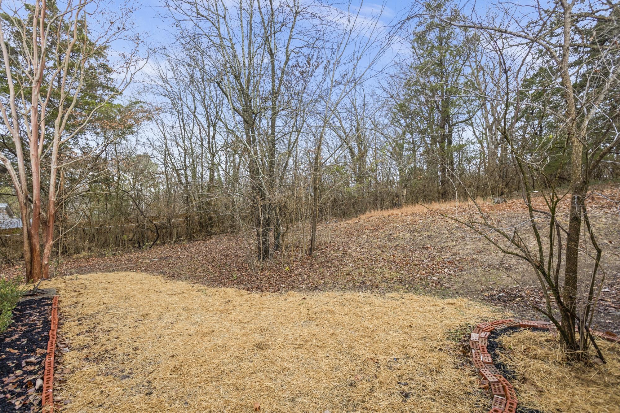 306 Kemper Drive South Madison, TN 37115 - Photo 39 of 42 a view of a yard covered in snow