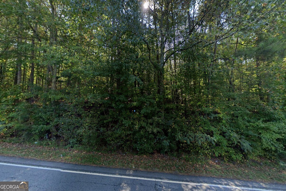 3760 Anneewakee Road Douglasville, GA 30135 - Photo 2 of 6