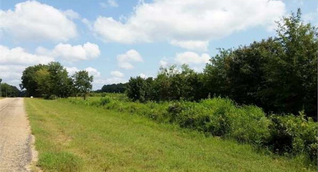 0 County Road 115 Abbeville, AL 36310 - Photo 1 of 1