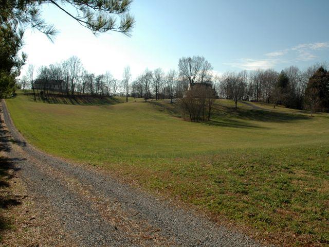 3574 Raymond Head Road Springfield, TN 37172 - Photo 2 of 20 Gorgeous Drive to Your New Home!