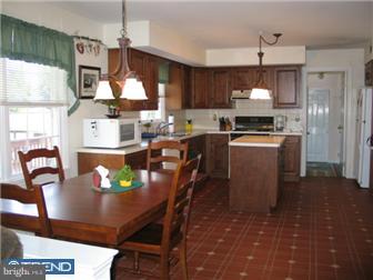 113 Conestoga Drive Sinking Spring, PA 19608 - Photo 4 of 12 Kitchen