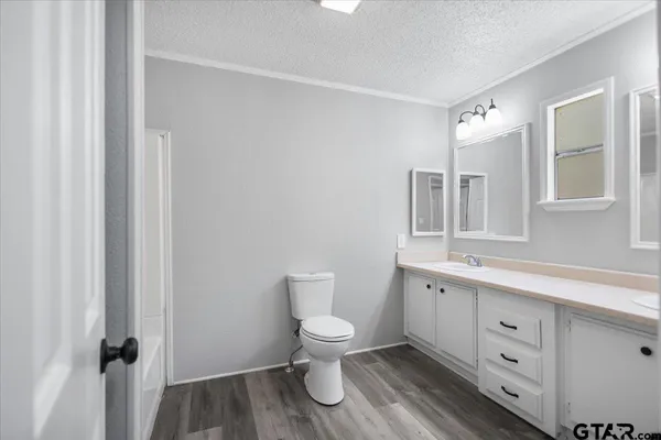 a bathroom with a toilet a sink and mirror