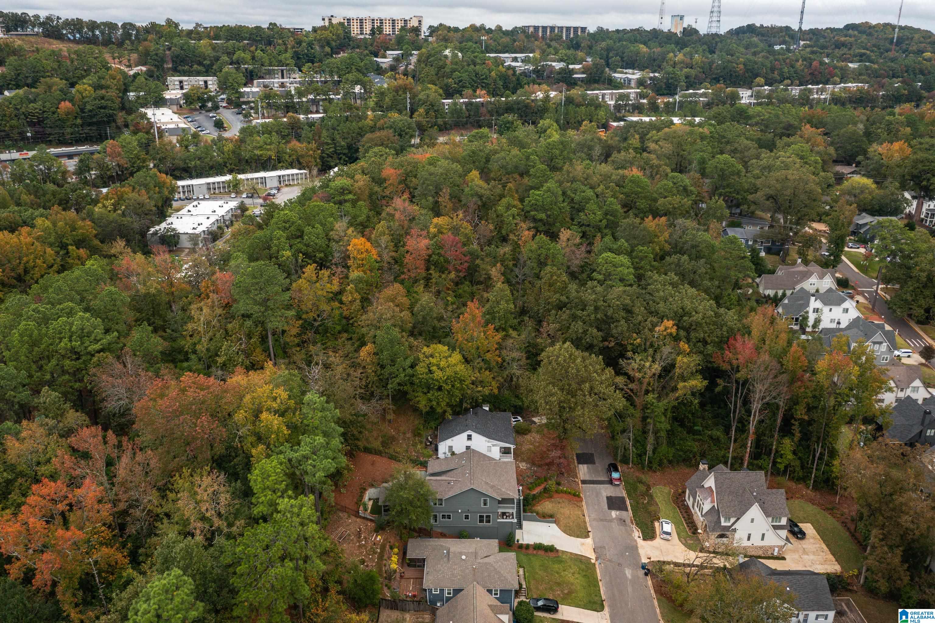 210 Edgeview Avenue Birmingham, AL 35209 - Photo 93 of 93