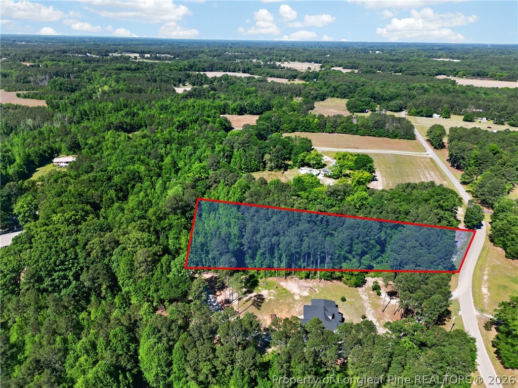 0 Fred Stone Road Sanford, NC 27332 - Photo 4 of 10