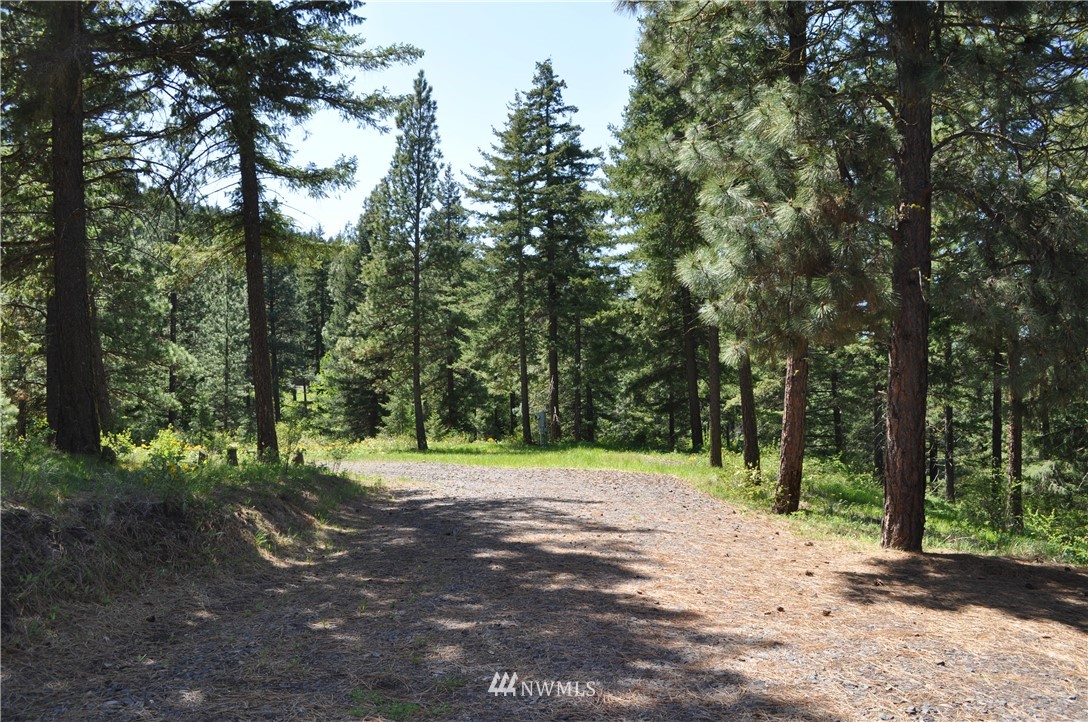 721 Teanaway Terrace Road Cle Elum, WA 98922 - Photo 17 of 31 Gallery Image 17