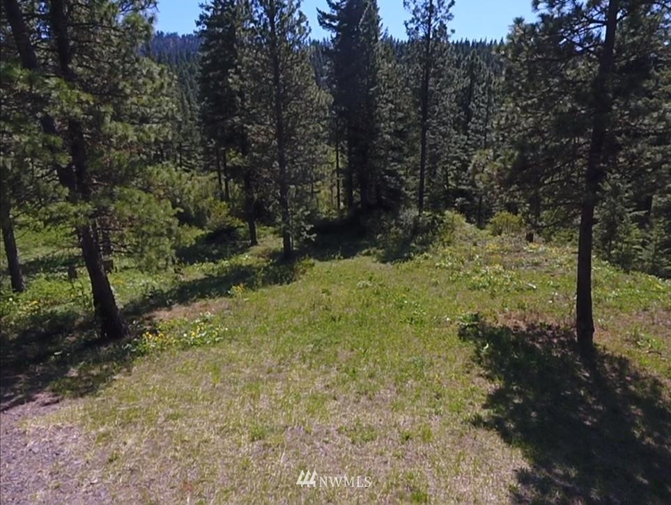 721 Teanaway Terrace Road Cle Elum, WA 98922 - Photo 18 of 31 Gallery Image 18