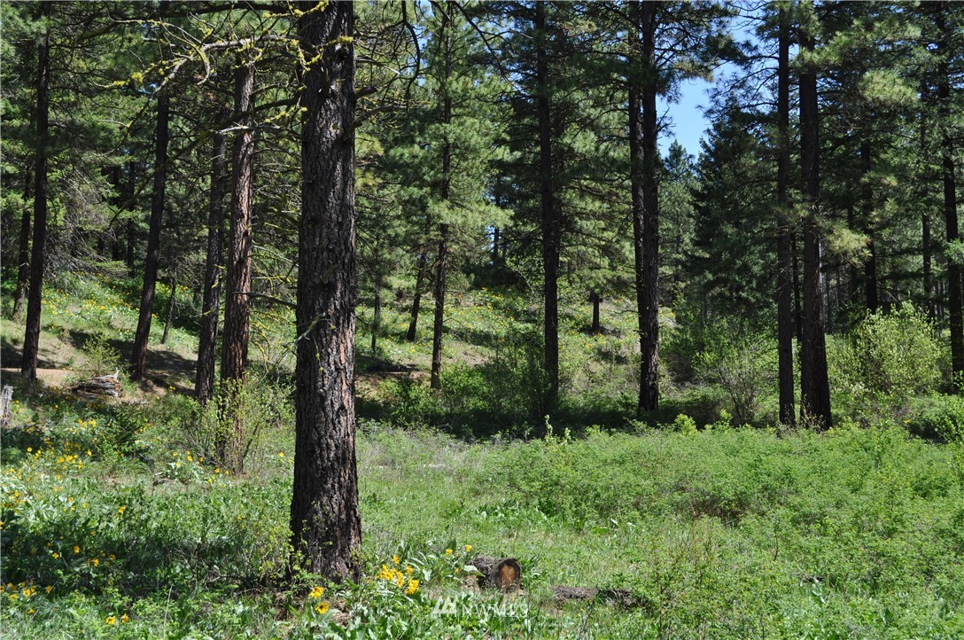 721 Teanaway Terrace Road Cle Elum, WA 98922 - Photo 19 of 31 Gallery Image 19