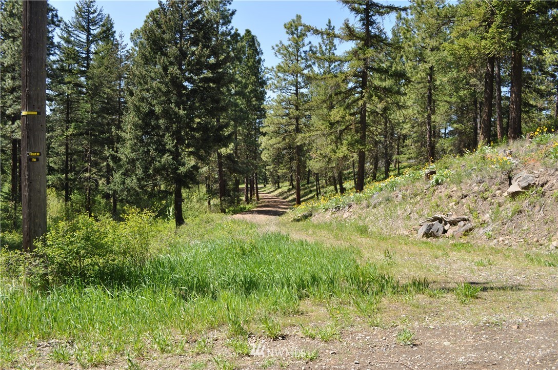 721 Teanaway Terrace Road Cle Elum, WA 98922 - Photo 20 of 31 Gallery Image 20