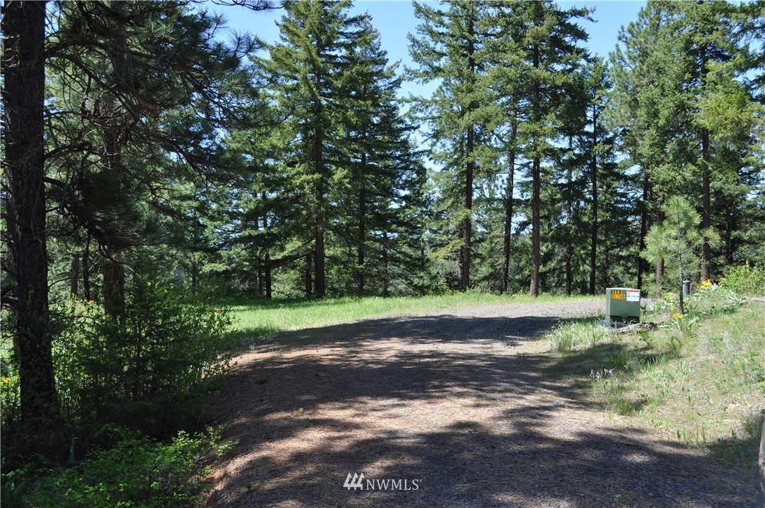721 Teanaway Terrace Road Cle Elum, WA 98922 - Photo 21 of 31 Gallery Image 21