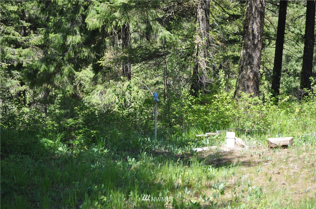 721 Teanaway Terrace Road Cle Elum, WA 98922 - Photo 22 of 31 Gallery Image 22