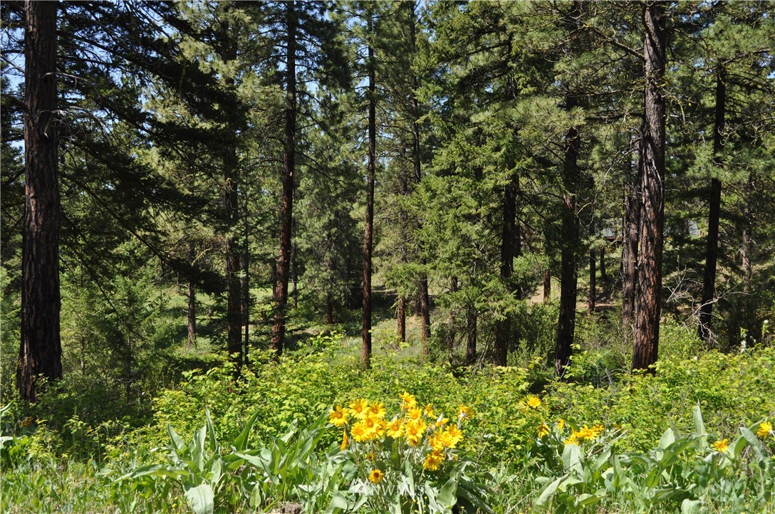 721 Teanaway Terrace Road Cle Elum, WA 98922 - Photo 23 of 31 Gallery Image 23