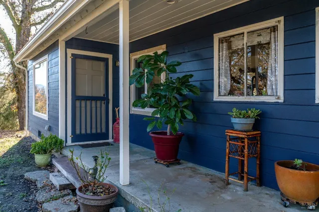 a view of a door with a chair and potted plants