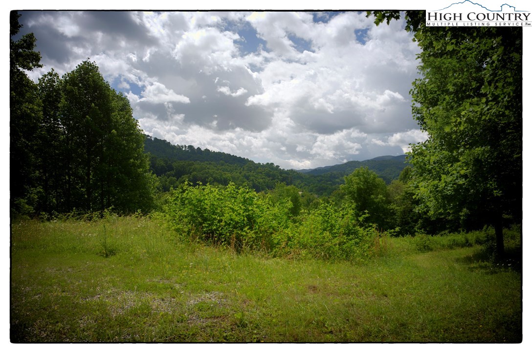 948 Joe Farthing Road Sugar Grove, NC 28679 - Photo 3 of 5 Gallery Image 3