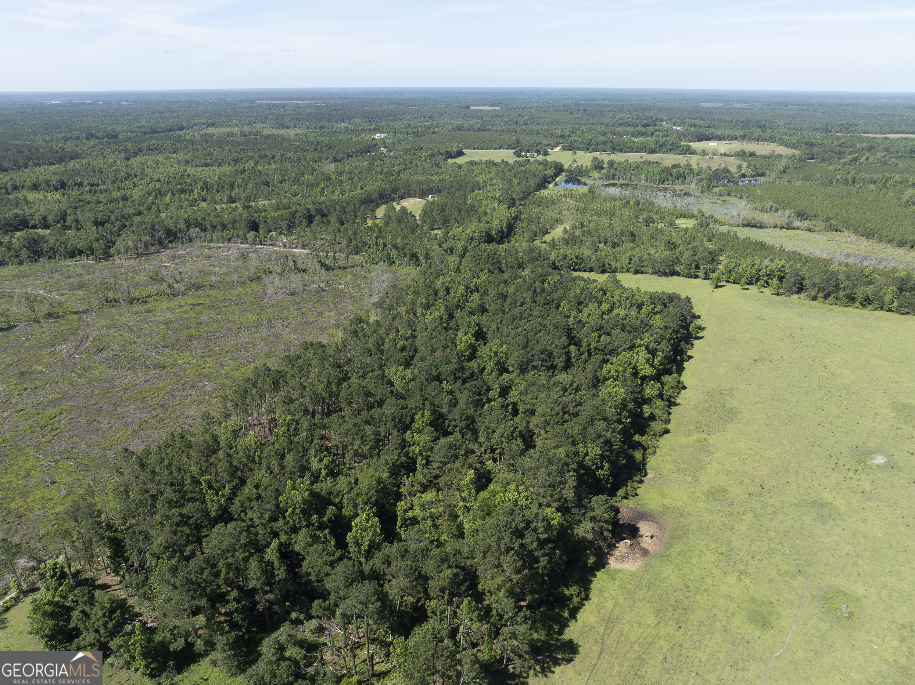 3349 A Scotland Road Alamo, GA 30411 - Photo 12 of 29