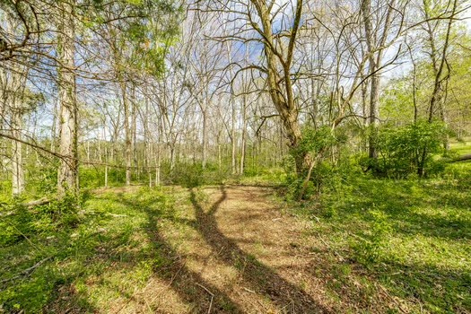 3180 Boxley Valley Road Franklin, TN 37064 - Photo 27 of 89 Gallery Image 27