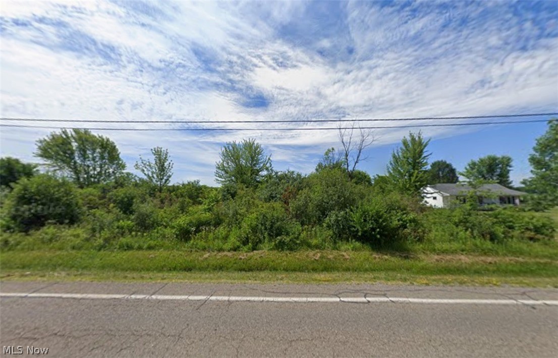 224 St Route Deerfield, OH 44411 - Photo 2 of 2 Gallery Image 2