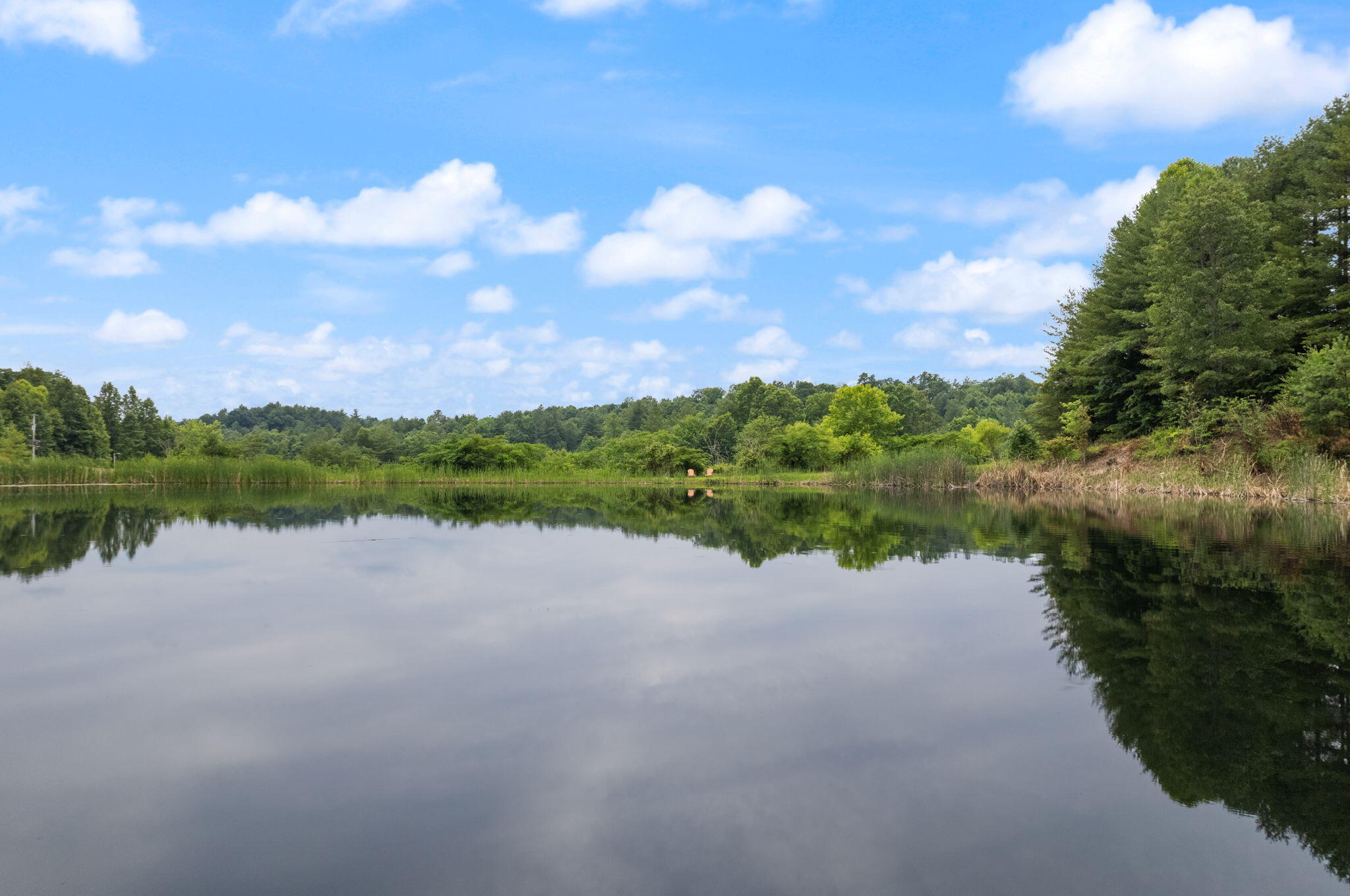 1686 Sandy Ridge Road Campton, KY 41301 - Photo 8 of 101 90-web-or-mls-DJI_0219