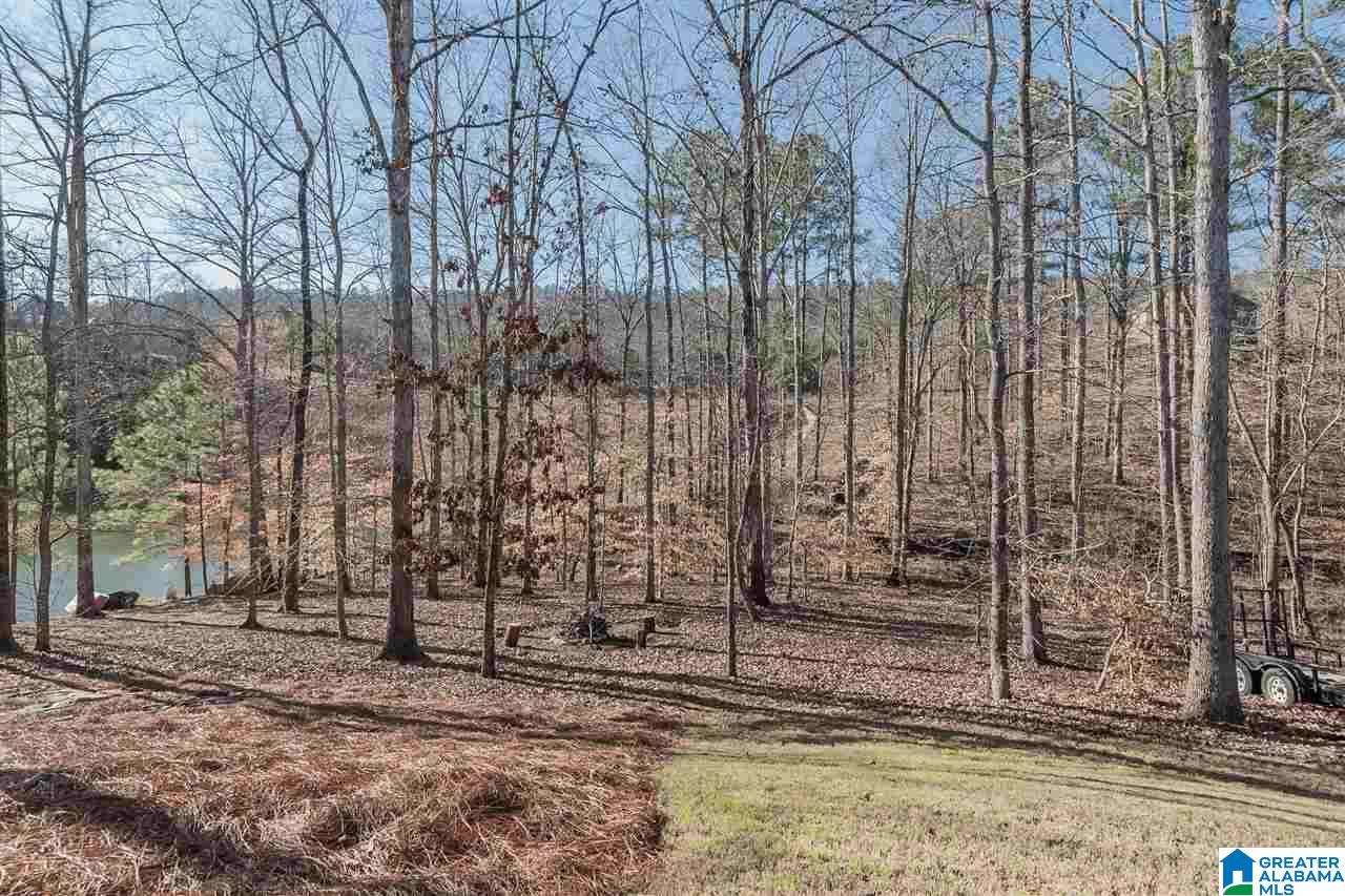 117 Fallow Circle Chelsea, AL 35043 - Photo 42 of 47