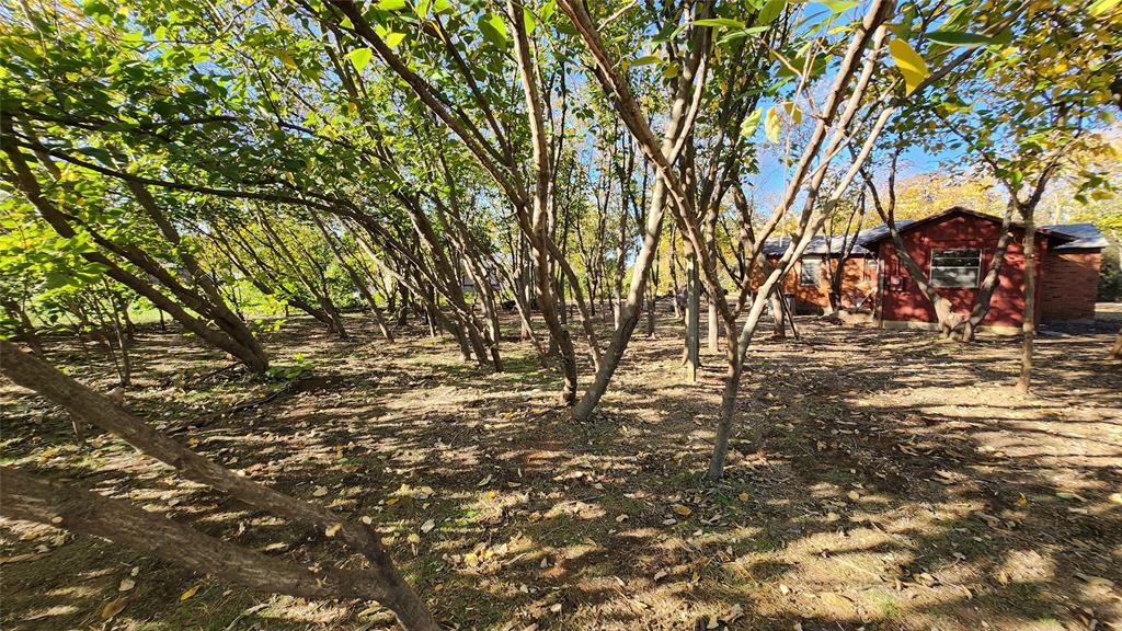 2518 Laney Road Denton, TX 76208 - Photo 5 of 12 a view of outdoor space