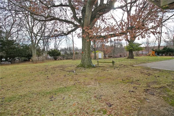 a view of a tree in a yard