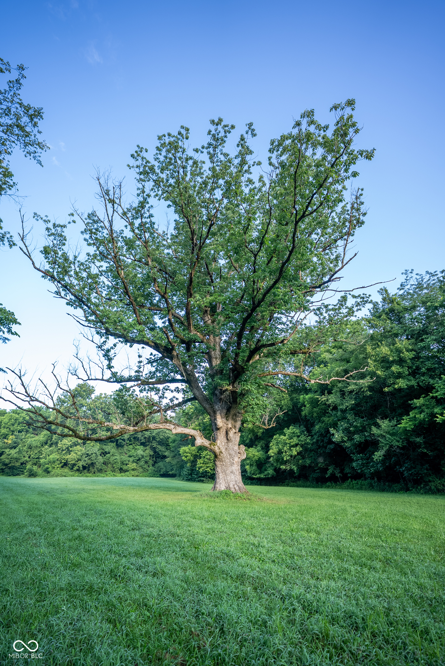 4259 Parkeville Road Rockville, IN 47872 - Photo 18 of 58