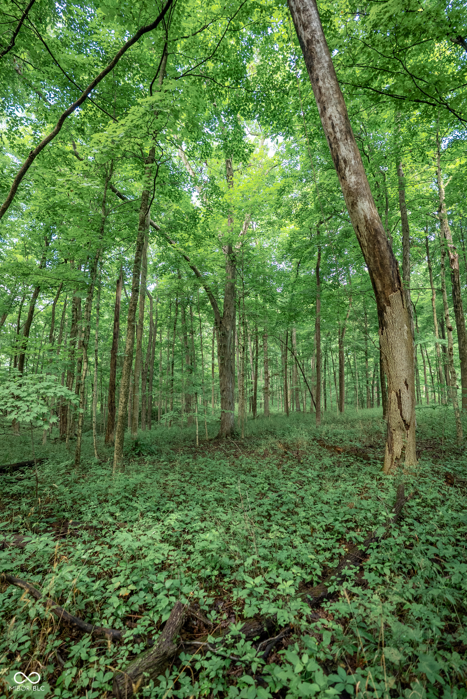 4259 Parkeville Road Rockville, IN 47872 - Photo 19 of 58