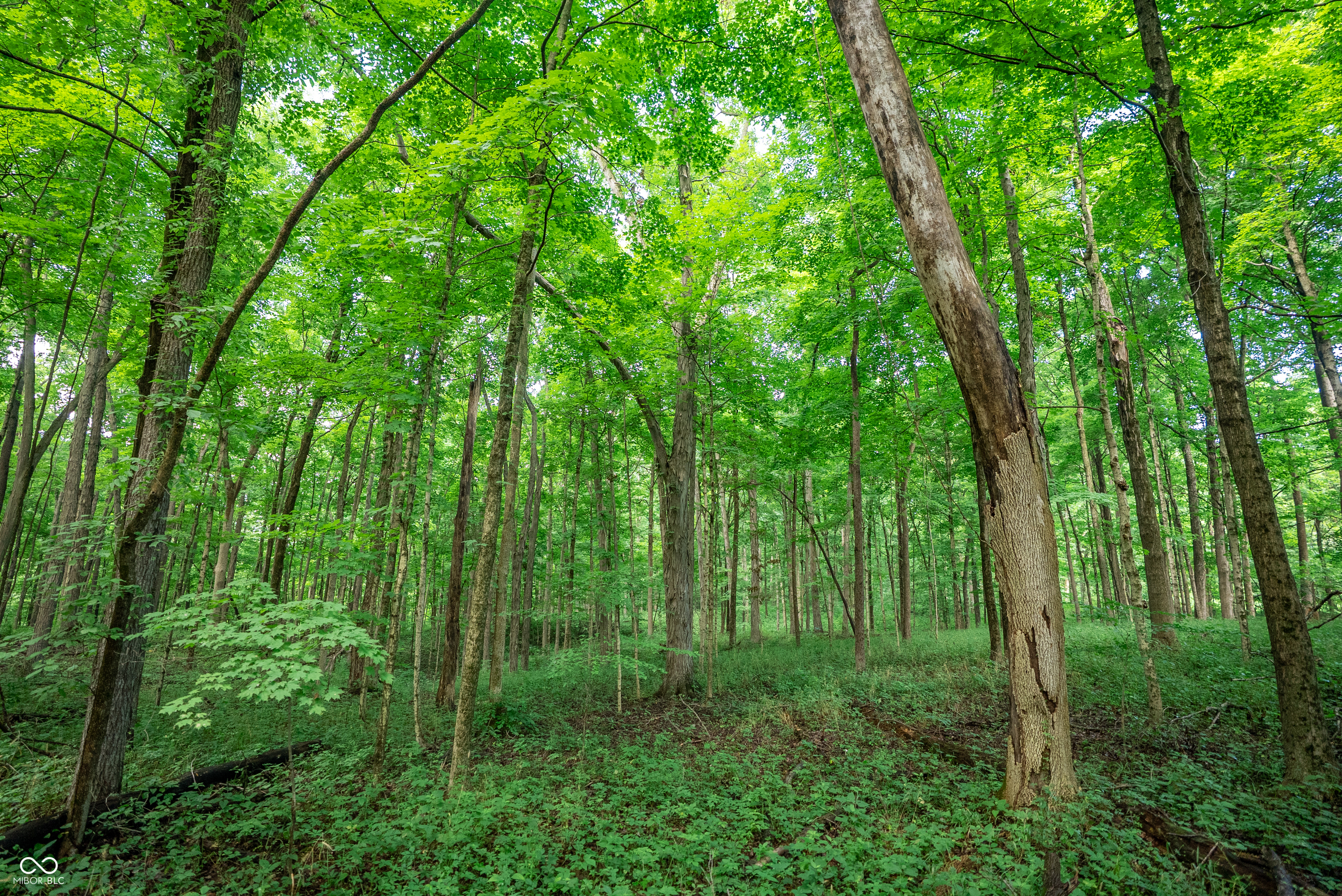 4259 Parkeville Road Rockville, IN 47872 - Photo 20 of 58