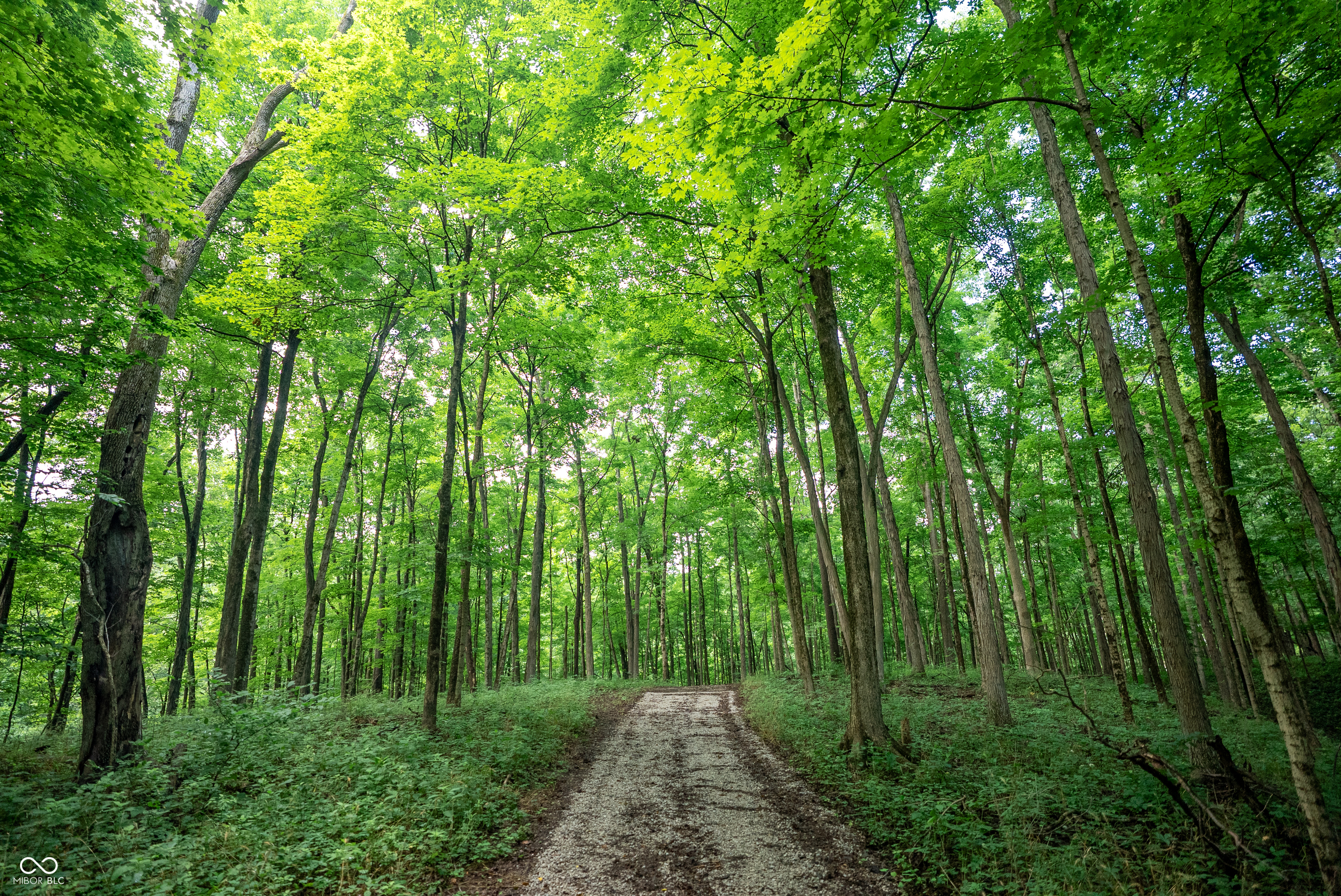4259 Parkeville Road Rockville, IN 47872 - Photo 21 of 58