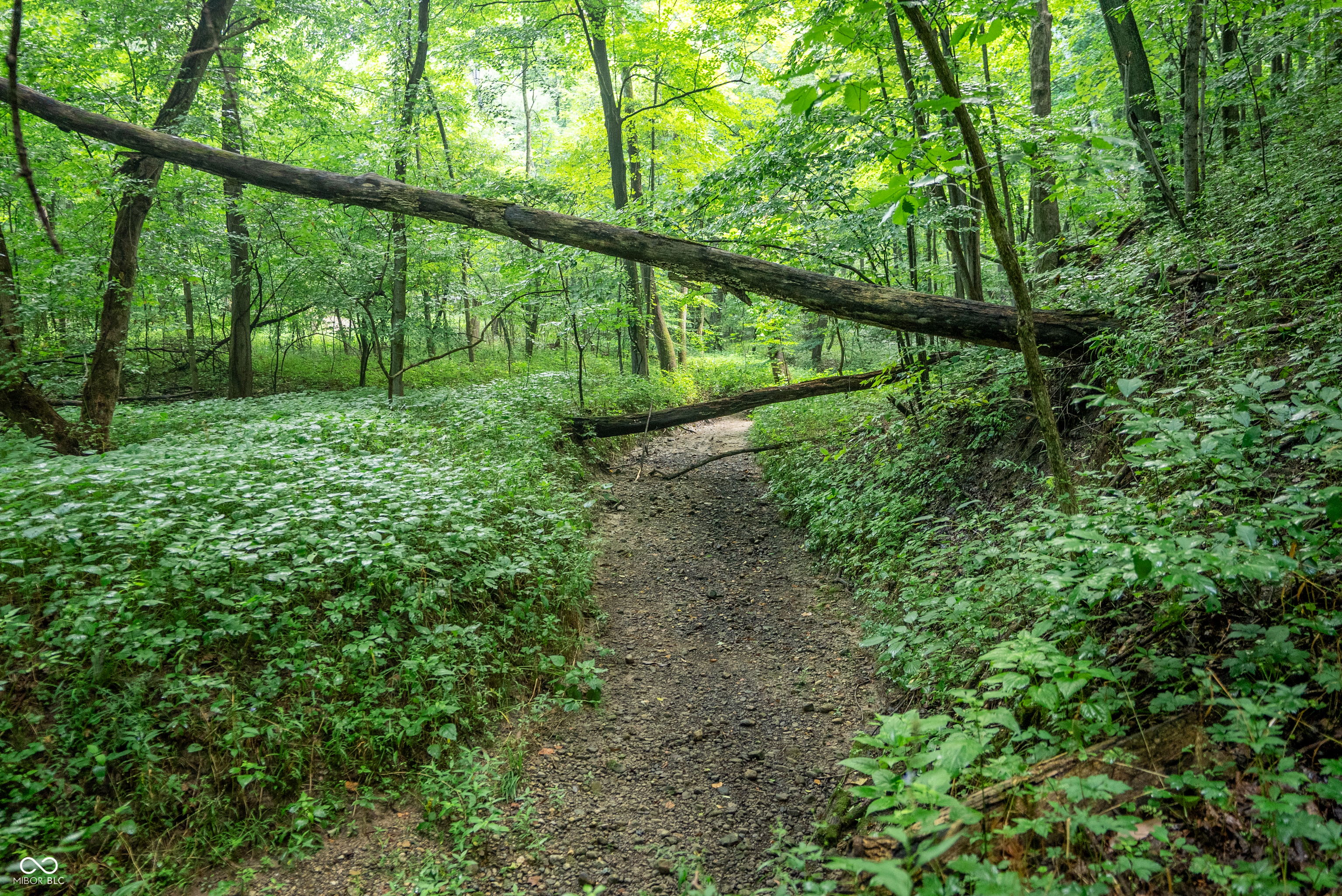 4259 Parkeville Road Rockville, IN 47872 - Photo 23 of 58