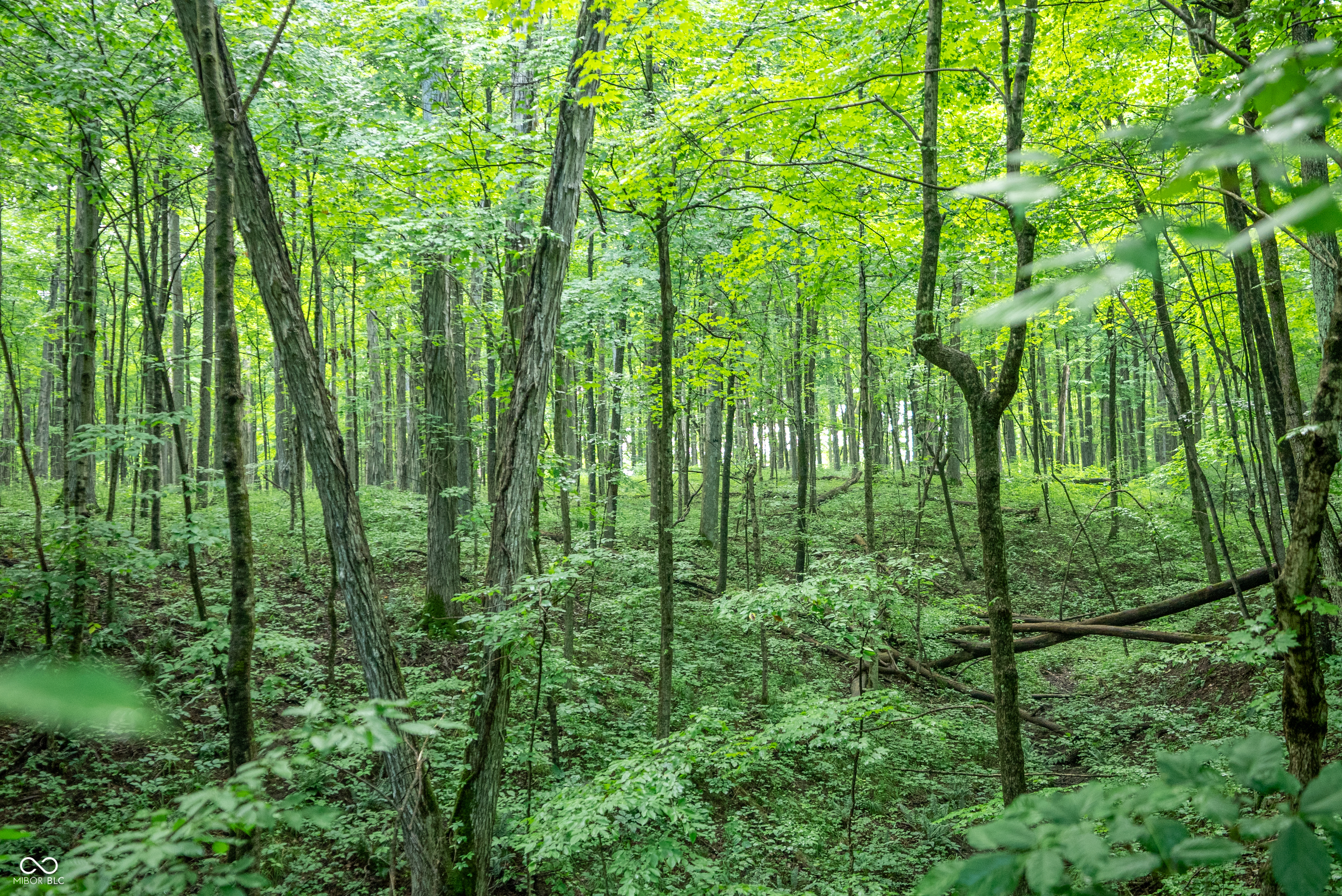 4259 Parkeville Road Rockville, IN 47872 - Photo 24 of 58