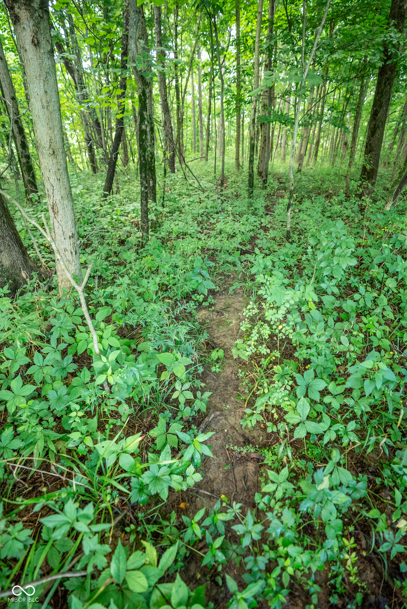 4259 Parkeville Road Rockville, IN 47872 - Photo 25 of 58