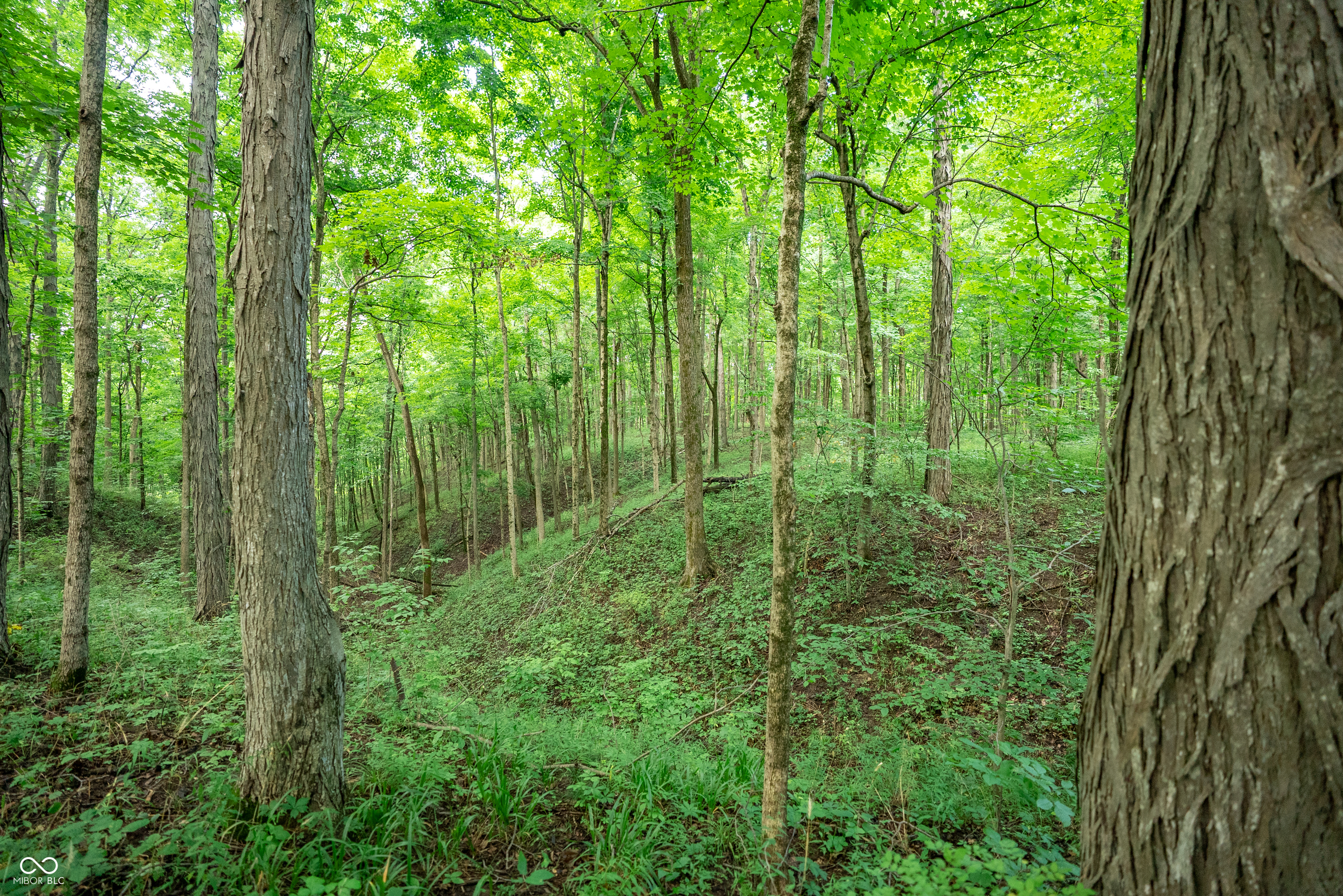 4259 Parkeville Road Rockville, IN 47872 - Photo 26 of 58