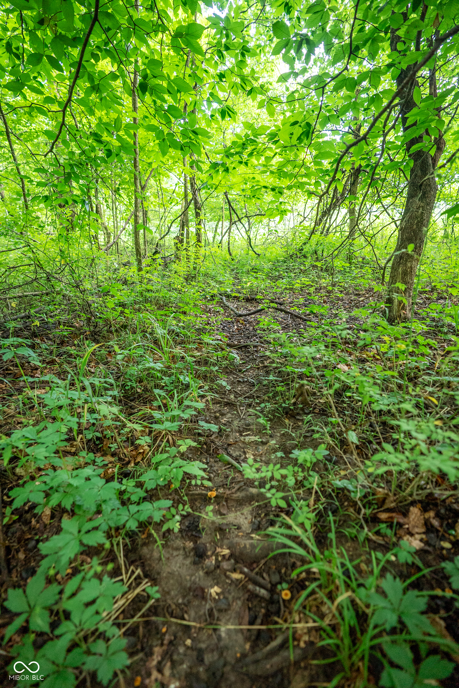 4259 Parkeville Road Rockville, IN 47872 - Photo 27 of 58