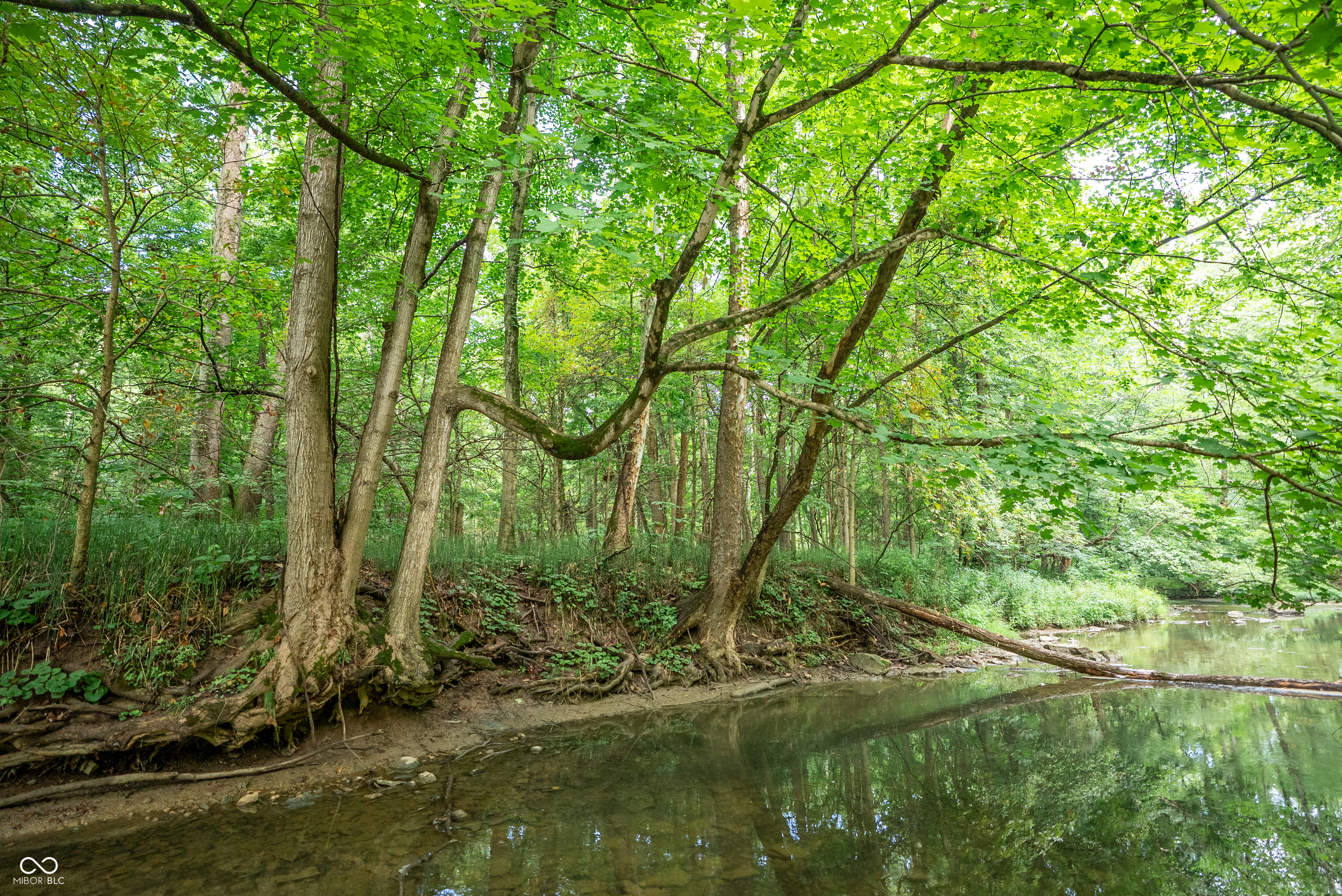 4259 Parkeville Road Rockville, IN 47872 - Photo 29 of 58
