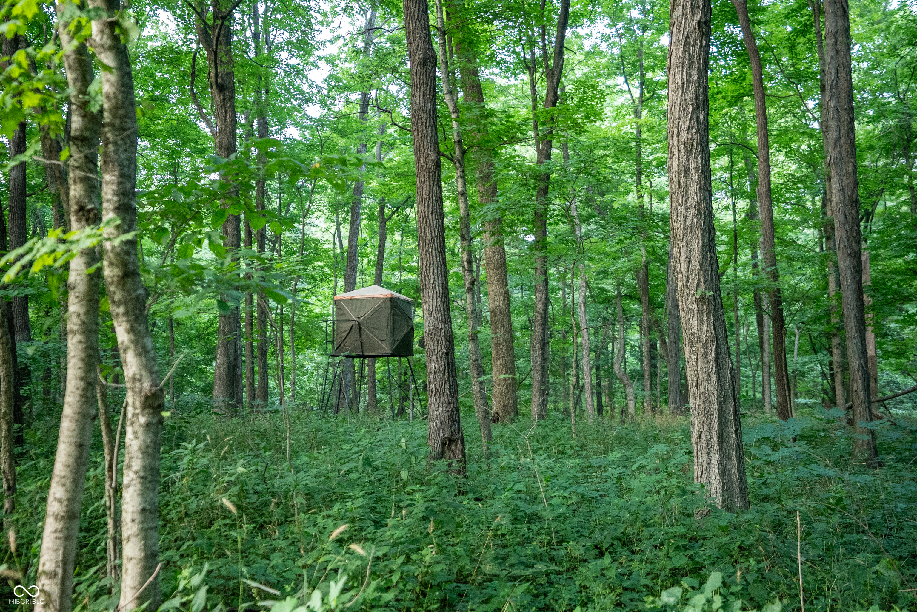 4259 Parkeville Road Rockville, IN 47872 - Photo 3 of 58