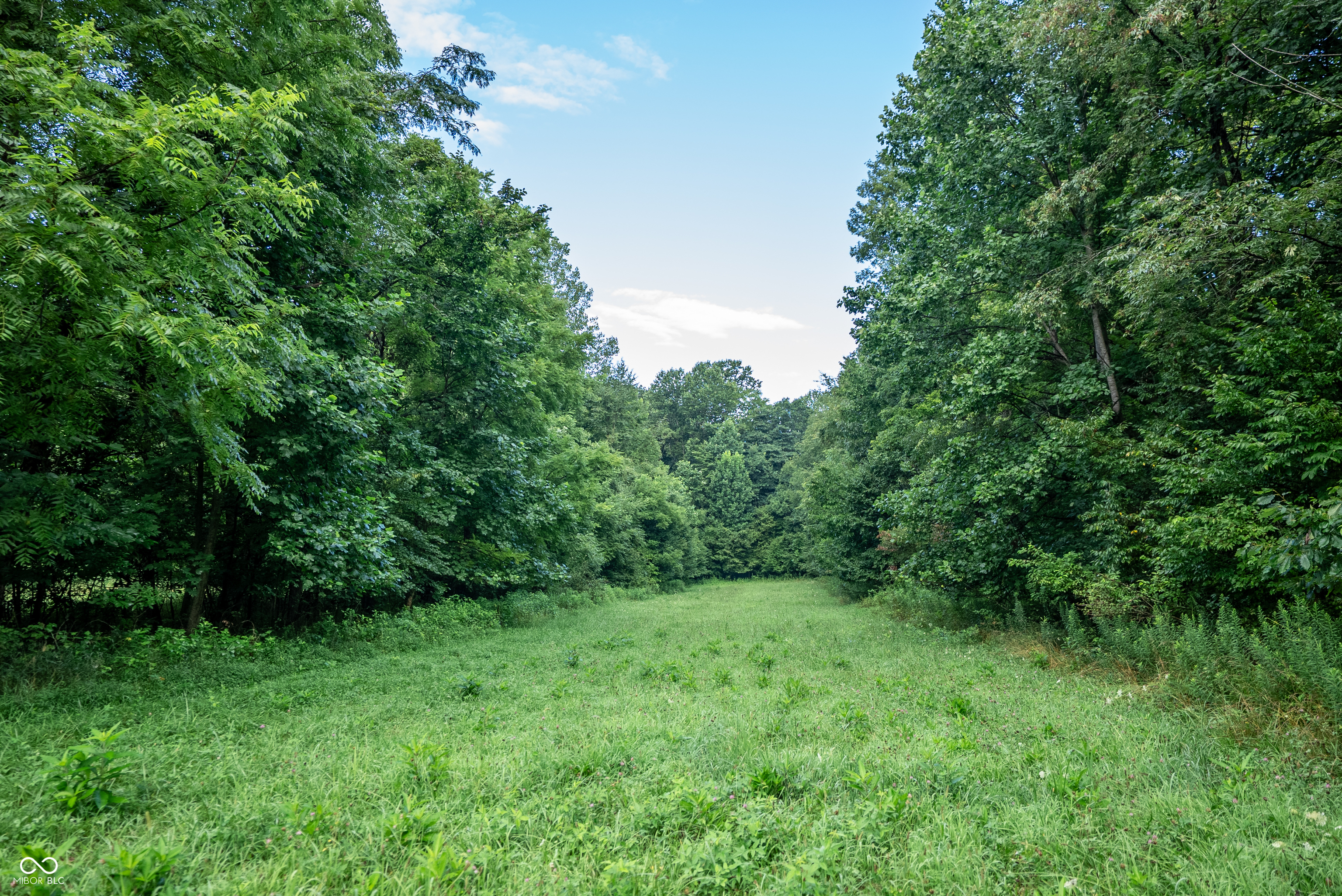 4259 Parkeville Road Rockville, IN 47872 - Photo 4 of 58