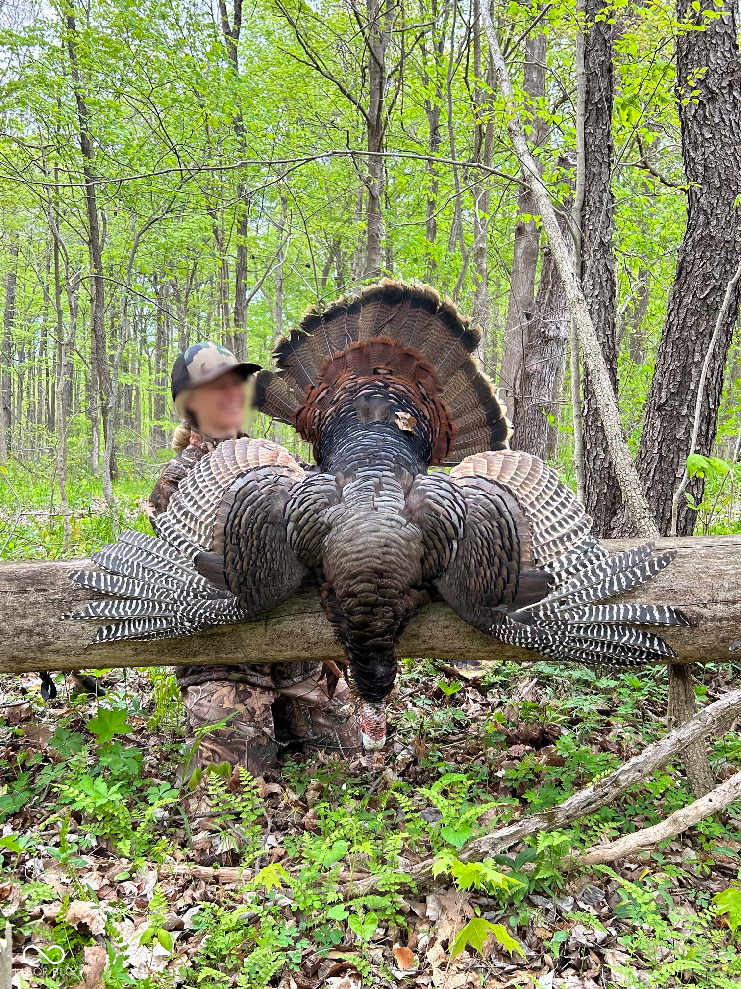 4259 Parkeville Road Rockville, IN 47872 - Photo 49 of 58